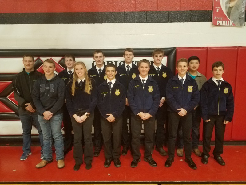 Osmond Community Schools Osmond FFA Competes at District Livestock