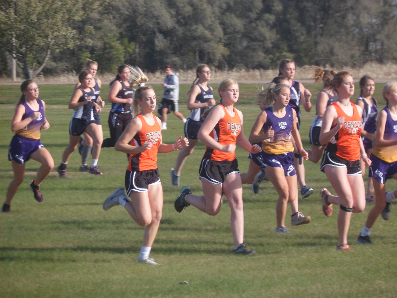 Osmond Community Schools Tigers are District D4 Champions